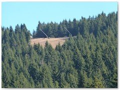 apartmani-kopaonik11